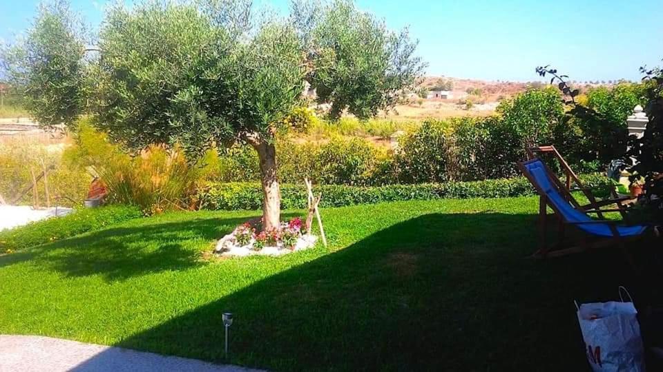 B&B Estremo Sud マルツァメミ エクステリア 写真