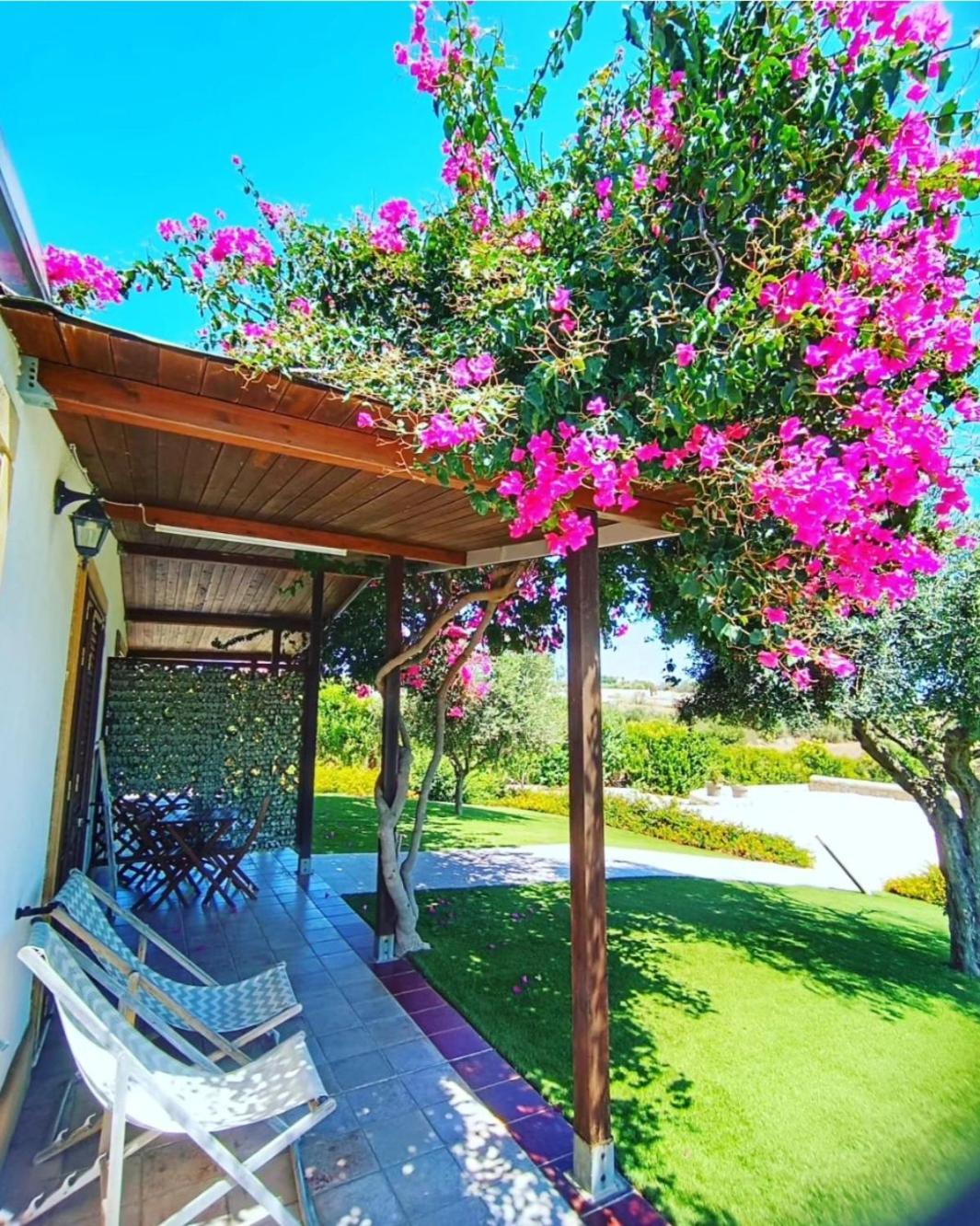 B&B Estremo Sud マルツァメミ エクステリア 写真